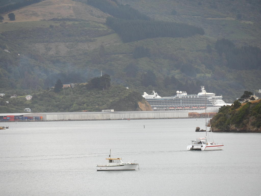 Otago Peninsula MotelPortobello エクステリア 写真