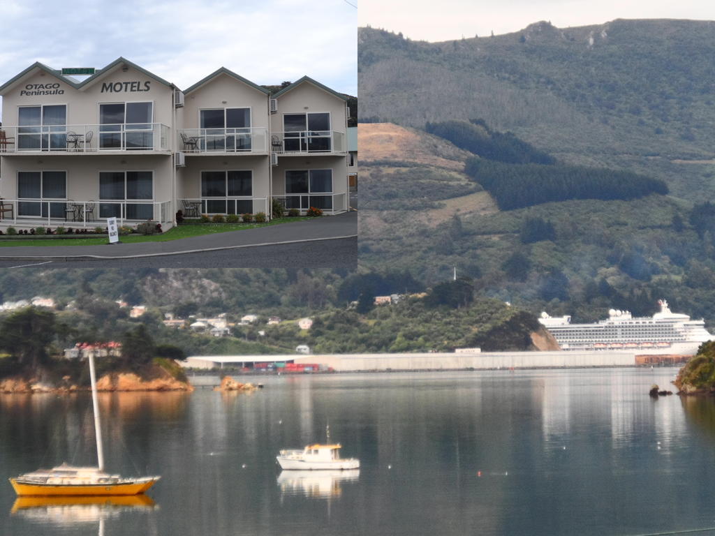 Otago Peninsula MotelPortobello エクステリア 写真